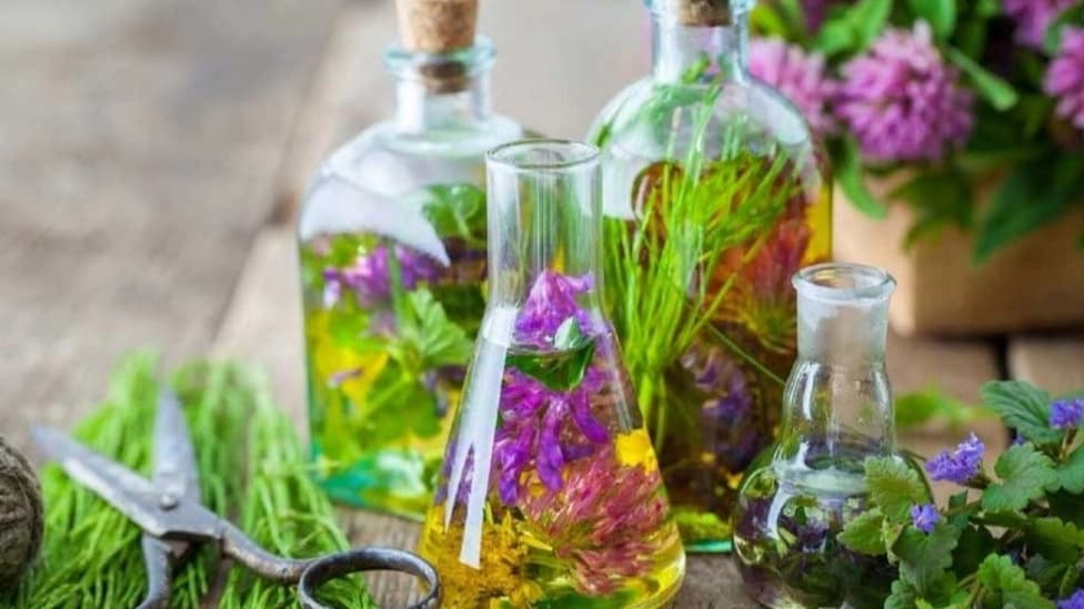 انواع عرقیات گیاهی